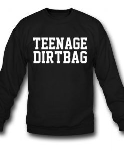 Teenage Dirtbag Sweatshirt